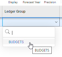  In the ledger group field, select BUDGETS from the dropdown.