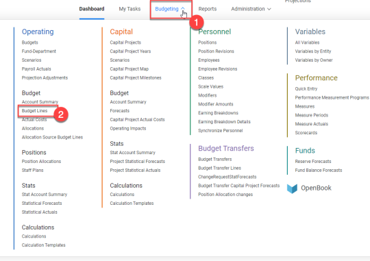 Budget Lines from Budgeting menu